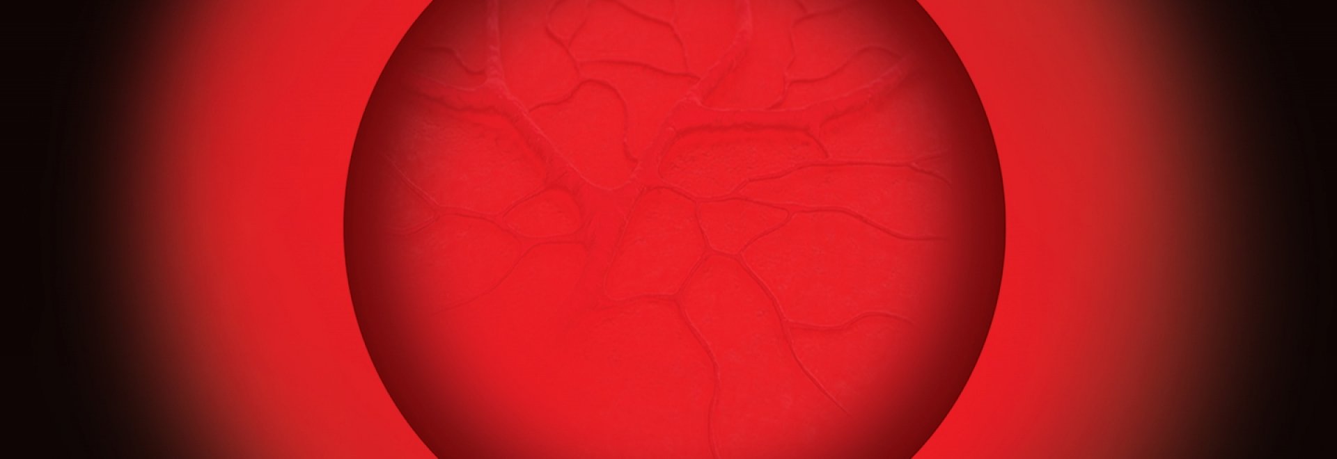 TURANDOT