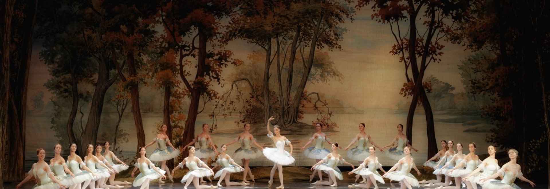 NEW YEAR`S BALLET GALA