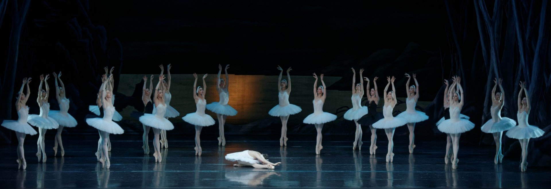 THE SWAN LAKE
